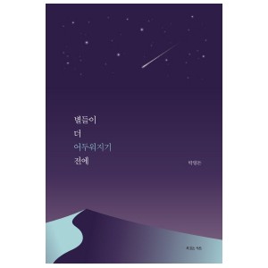 별들이 더 어두워지기 전에-박영돈