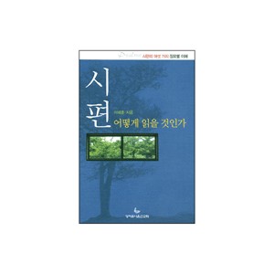 시편 어떻게 읽을 것인가 - 이태훈