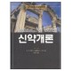 신약개론-제2판 ((An) introduction to the New Testament) - D. A. 카슨,더글라스 무