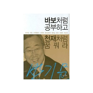 바보처럼 공부하고 천재처럼 꿈꿔라-신웅진 