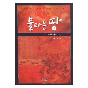 불타는 땅 제2권 불과 연기-김성일 