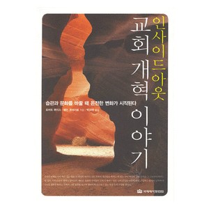 인사이드아웃 교회 개혁 이야기- 로버트 루이스,웨인 코데이로