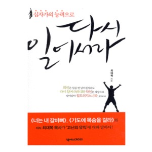  다시 일어서라-최대복   